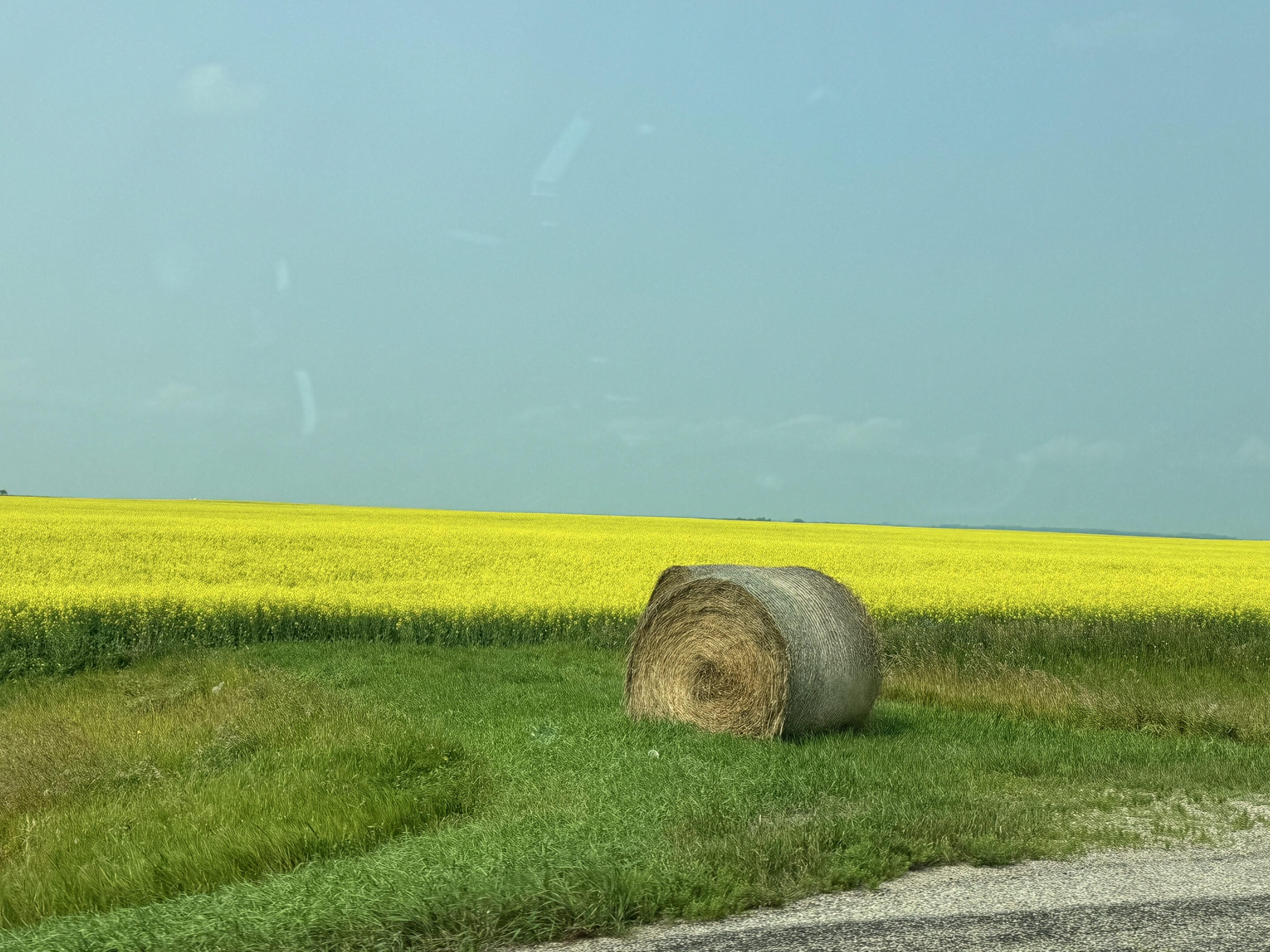 A hay bale sitting in the middle of a field.